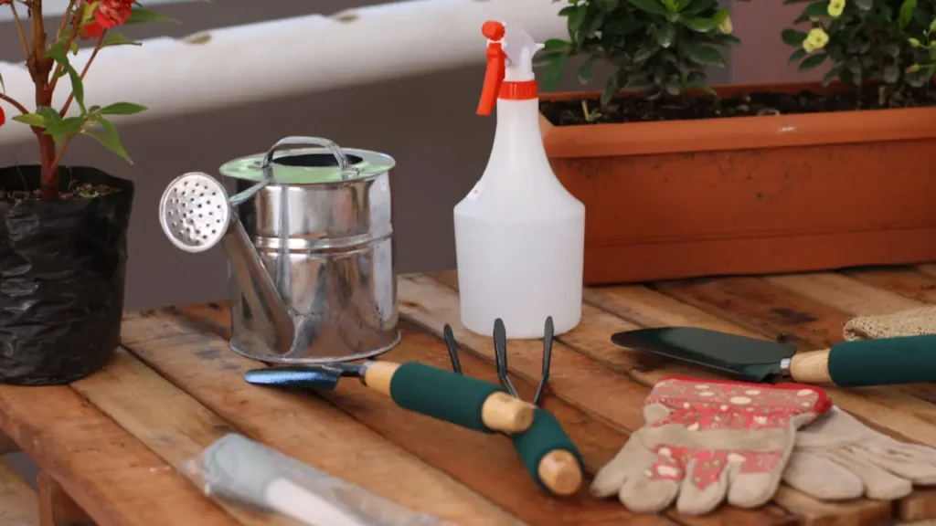 Equipment and Tools for Strawberry Garden