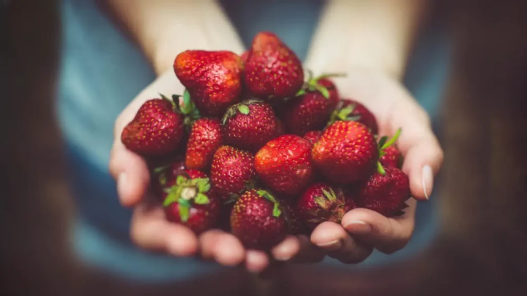 A Beginner’s Guide to Growing Juicy Strawberries