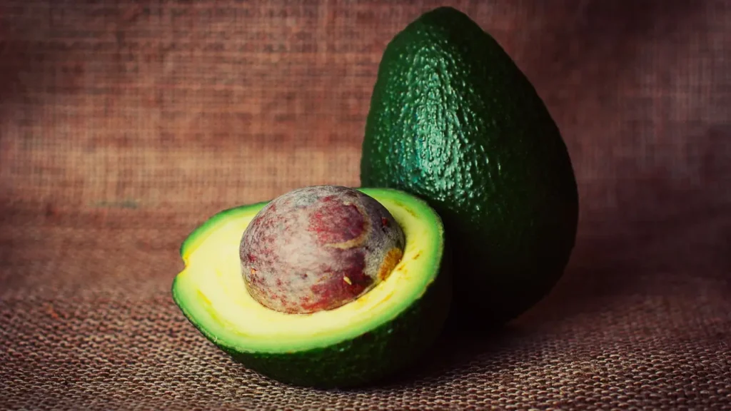 how to grow an avocado from seed