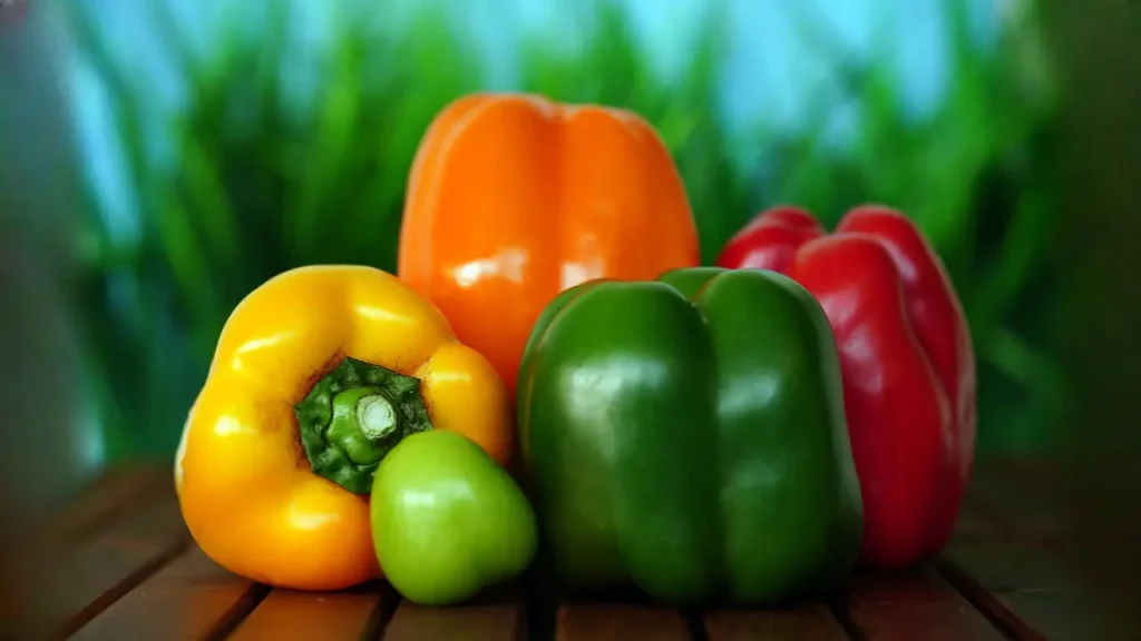 how to grow bell peppers