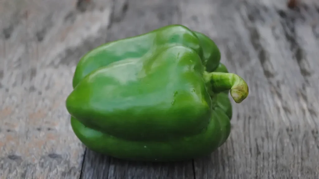 how to grow green bell peppers