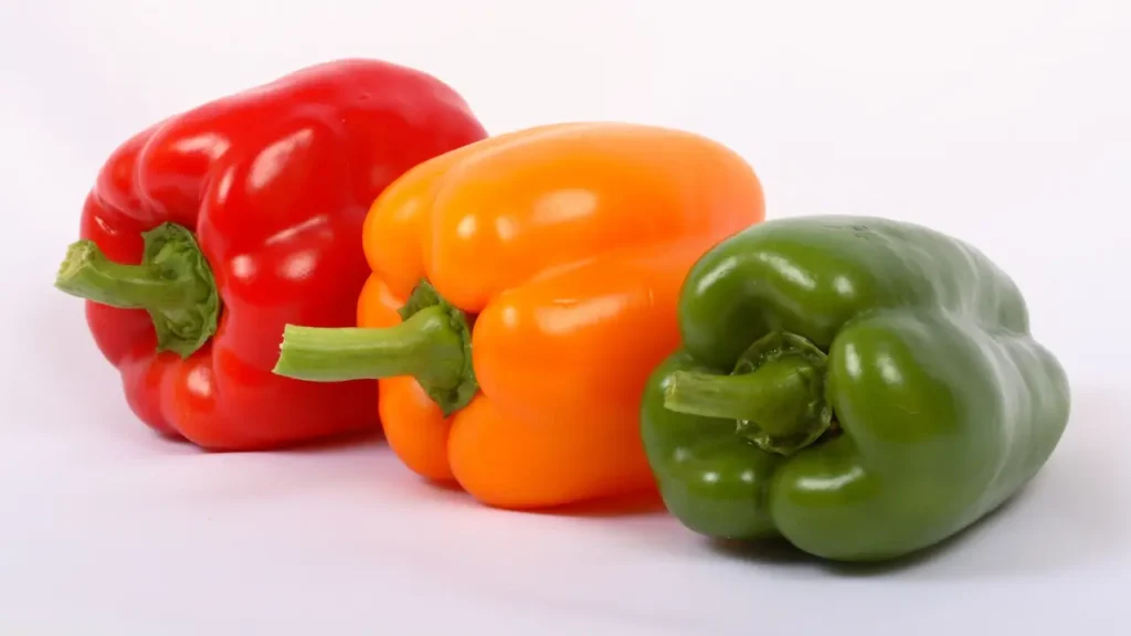 how to grow sweet bell peppers