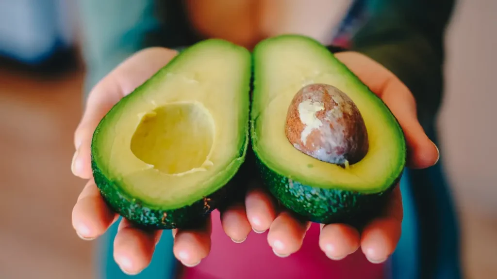 how to harvest avocado