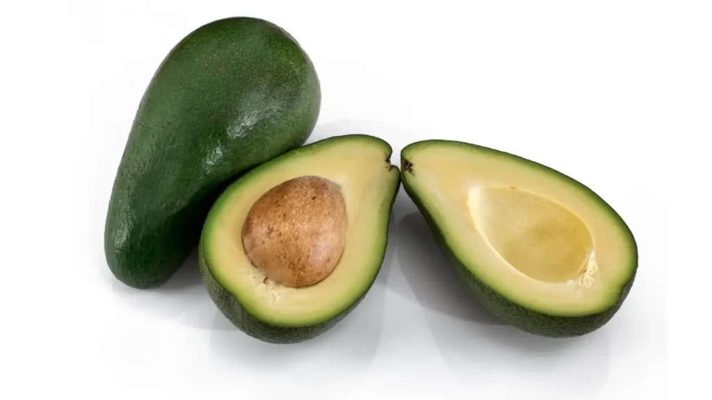 how to raise avocado from seed