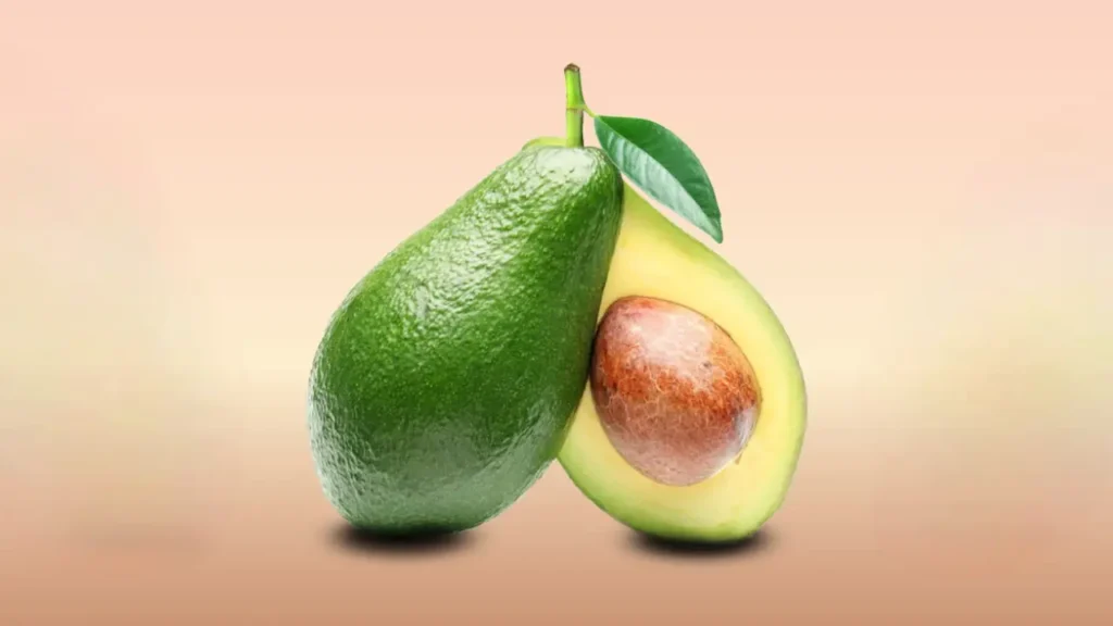 how to sprout an avocado seed