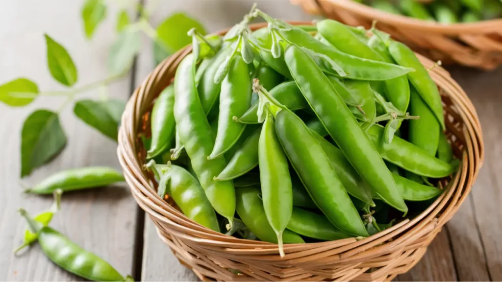 how to grow peas